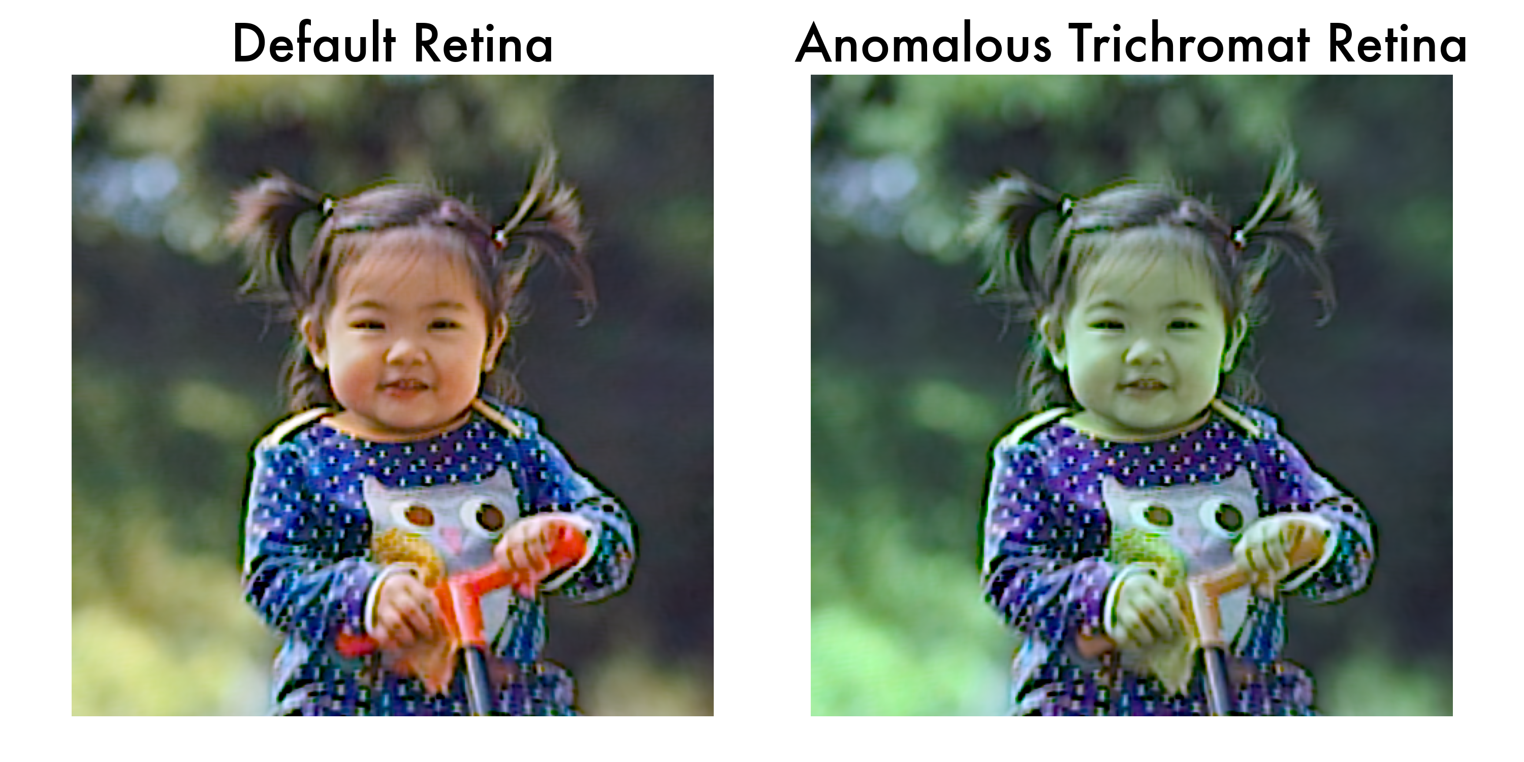 Internal Percepts Comparison